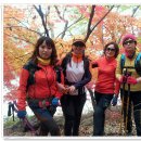 2018년 11월4일 고창 선운산 정기산행 이미지