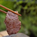 오늘잡은소 이미지