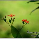 솔아한의원 이미지