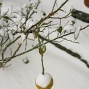 비자숲길15 이미지