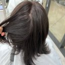 상왕십리역 | 상왕십리 미용실 오르드비 상왕십리역점 후기, 뿌리염색 자연스럽게 잘 나온 왕십리 미용실