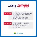 송 외과 이미지