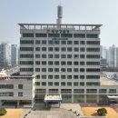 둥실둥실 이미지