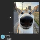 780241 이미지