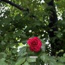 매음농장 | 주간일기 44. 인생은 정답이 없다는데 차라리 정답이 있었으면 좋겠어요