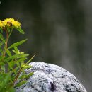 기린초등학교 이미지