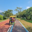 마음정원 이미지