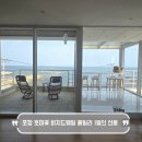 호미곶면 호미곶 작은도서관 | 포항 호미곶 펜션 비치드웨일 풀빌라 1월의 선물 오션뷰 8인 숙박 후기