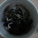 산과바다사이 이미지