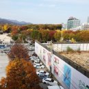 하늘종묘 이미지