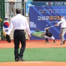 고성군야구장 이미지