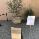 조향농원 | 북구 서변동 / MRNW 미래농원 (feat. 내차조향소)