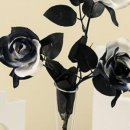 장미인테리어 이미지