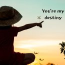 문해력쑥쑥글쓰기 이미지