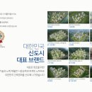 세현유치원(공립) 이미지