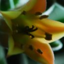 금환농원 이미지