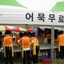 싱싱투어 이미지