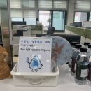 동부얼음
