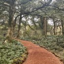 청하농약종묘사 | 겨울 제주 Day_2