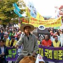 여의도축산 이미지