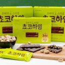쵸코 신아일보