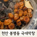 봉정로 | 천안 봉명동 맛집 국대막창 | 돼지막창과 벌집껍데기 내돈내먹 후기