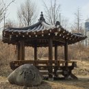 (주)롯데하이마트 오리지점 | 여행 368. 서울시 청계천 &amp; 용답매화마을(하동매실거리) 여행(결과 &amp; 후기)