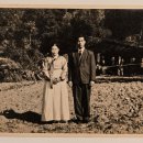 가장자리 이미지