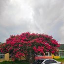 양남초 상계분교 이미지