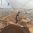 해찬농장 이미지