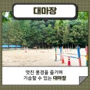 충무승마장 이미지