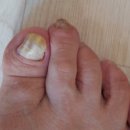 슈올즈 광주말바우점 이미지