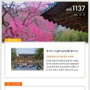 대한불교조계종 중앙신도회 [주간소식 1137호] 이미지