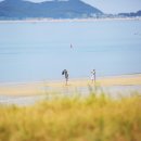 오봉산해수욕장 충남일보