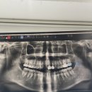 건강한김치과의원 이미지