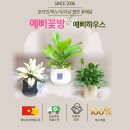 미소꽃방 이미지