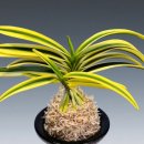 황호농장 이미지