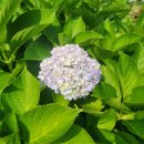 (주)글로비젼인터내셔널 | 6월 결산 총정리 (콘텐츠, 운동, 투자) - 꾸준함이라는 단단함
