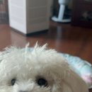 유앤댕 이미지