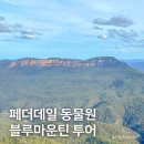 호주 시드니 여행, 페더데일 블루마운틴 투어는 필수!