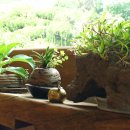 수련산방 이미지