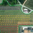 평택시 농업생태원1 이미지