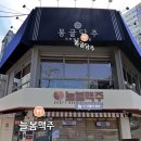 인형의 거리(개) 이미지