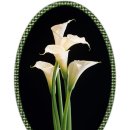 카페링크 이미지