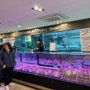 한우야한우야 이미지