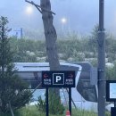 부대목장 | Hෆ [평창여행] 안갯속 접근성 뷰 좋은 라마다호텔 부대시설 수영장 순수양떼목장 방문후기