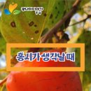 홍시한입