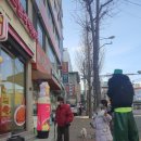 스텔라떡볶이양재우면점