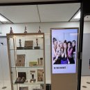 비우고채우는치과의원 | 스탠다드치과의원 잠실본점 임플란트 상담 후기
