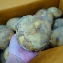 두식농장 이미지